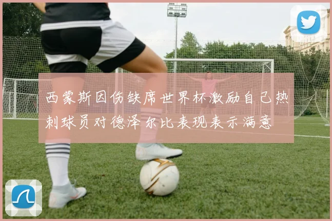 西蒙斯因伤缺席世界杯激励自己热刺球员对德泽尔比表现表示满意